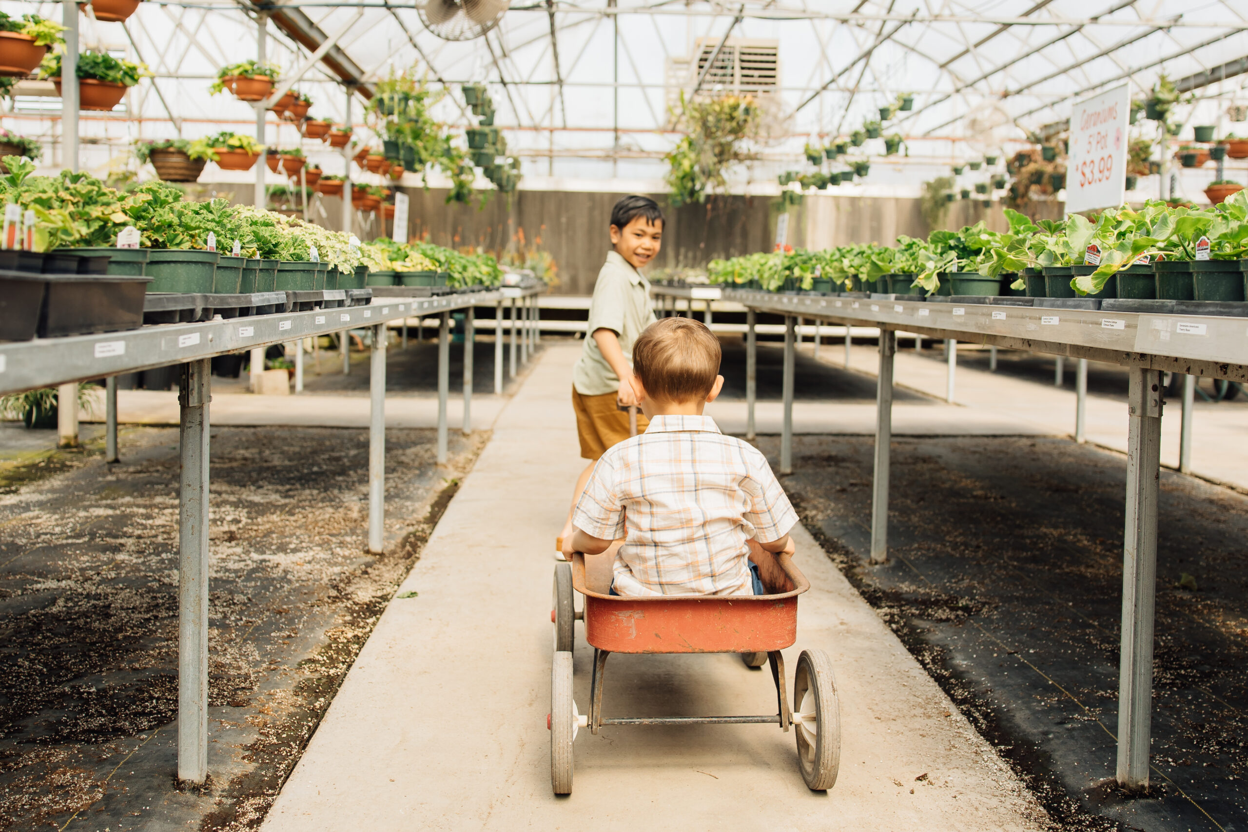 spring greenhouse mini session