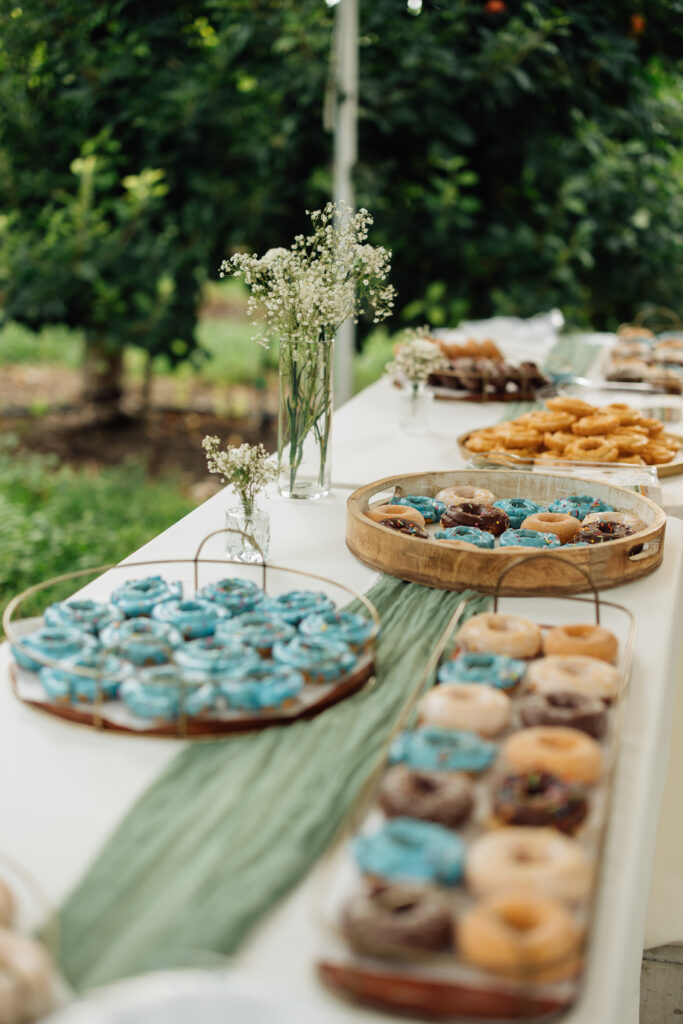 Hidden Orchards Wedding