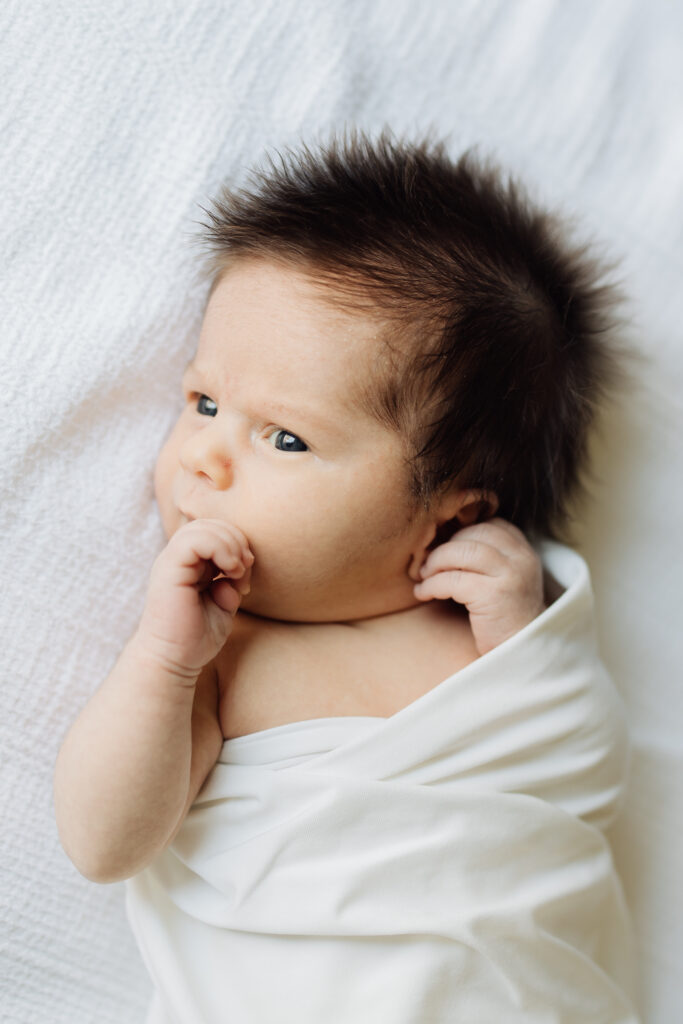 pleasant grove lifestyle newborn session